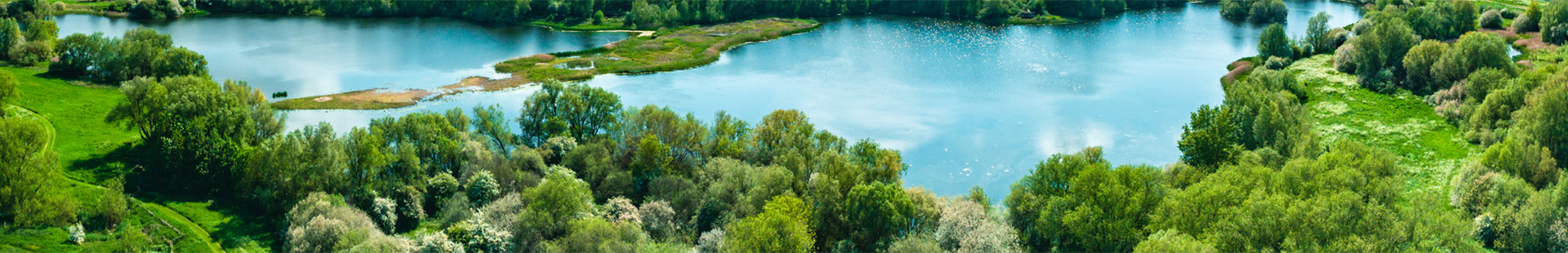 blog-banner