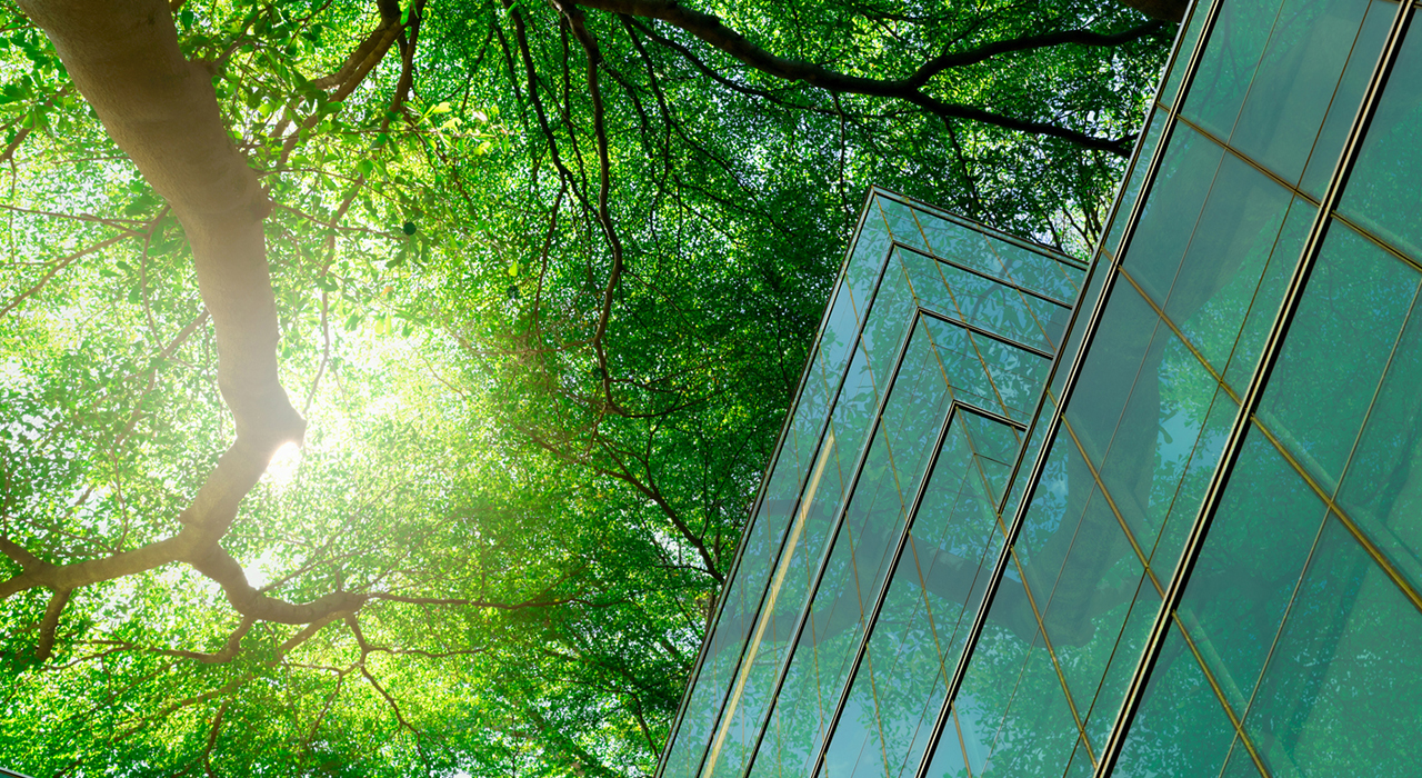 news-banner