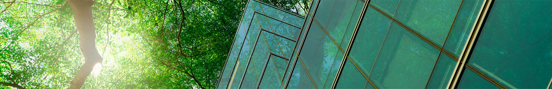 news-banner
