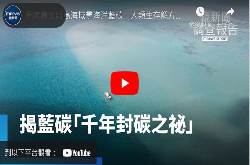 離島海域尋海洋藍碳　人類生存解方「固碳力勝森林綠碳」