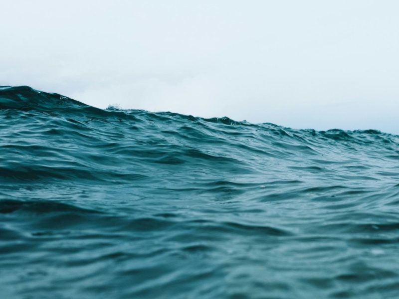  冷颼颼卻見海水暖化！鄭明典警告：氣候變遷不可逆，科學也無解