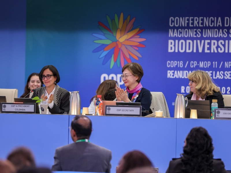 生物多樣性COP16在羅馬落幕！2030前每年供2000億美元守護生態    