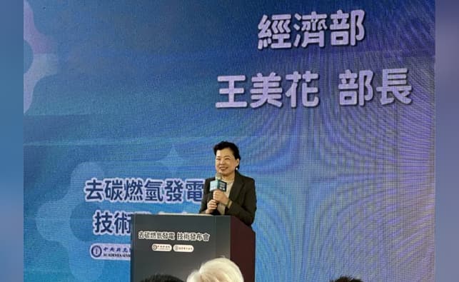去碳燃氫今發表 王美花：別因政治批評再生能源